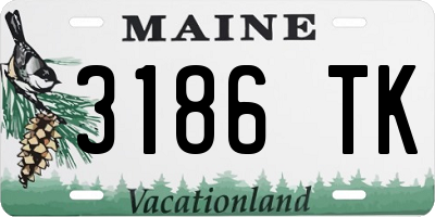 ME license plate 3186TK