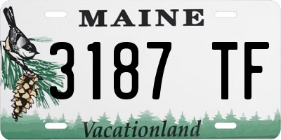 ME license plate 3187TF