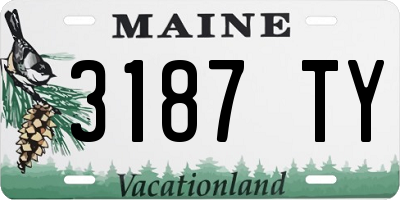 ME license plate 3187TY