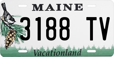 ME license plate 3188TV