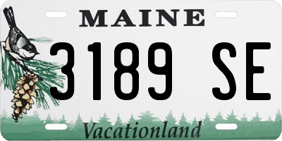 ME license plate 3189SE