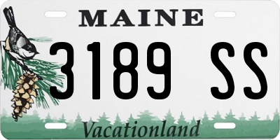 ME license plate 3189SS