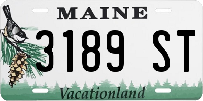 ME license plate 3189ST