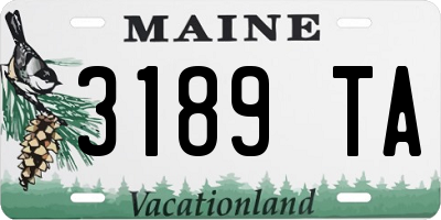 ME license plate 3189TA
