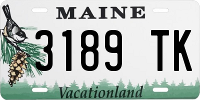 ME license plate 3189TK