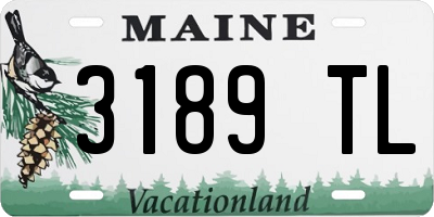 ME license plate 3189TL