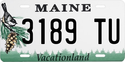 ME license plate 3189TU
