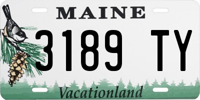 ME license plate 3189TY