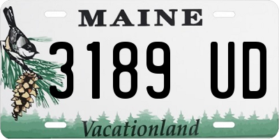 ME license plate 3189UD