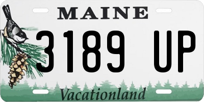 ME license plate 3189UP