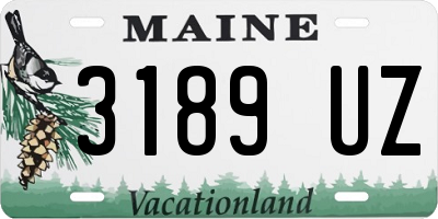 ME license plate 3189UZ