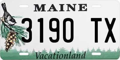 ME license plate 3190TX