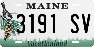 ME license plate 3191SV