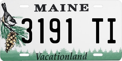 ME license plate 3191TI