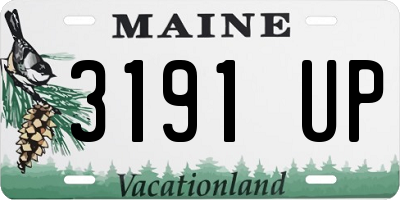 ME license plate 3191UP