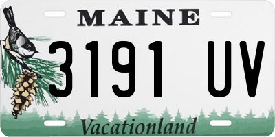 ME license plate 3191UV
