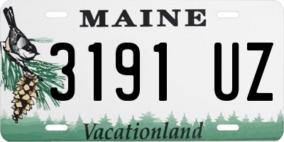 ME license plate 3191UZ