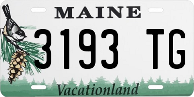 ME license plate 3193TG