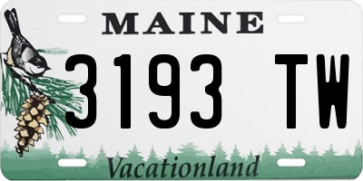 ME license plate 3193TW