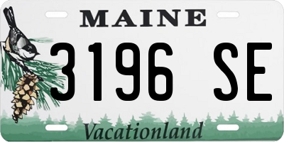 ME license plate 3196SE