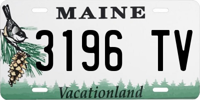 ME license plate 3196TV