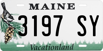 ME license plate 3197SY