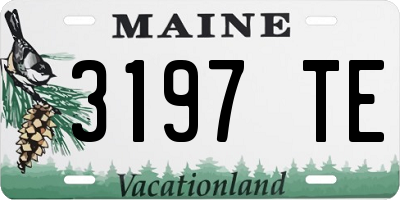 ME license plate 3197TE