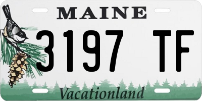 ME license plate 3197TF