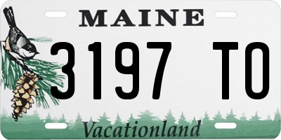 ME license plate 3197TO