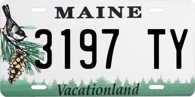 ME license plate 3197TY