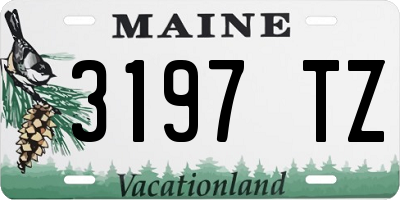 ME license plate 3197TZ