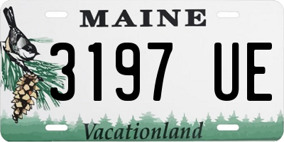 ME license plate 3197UE