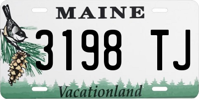 ME license plate 3198TJ
