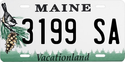 ME license plate 3199SA