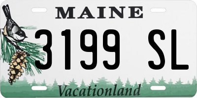 ME license plate 3199SL