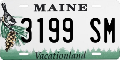 ME license plate 3199SM