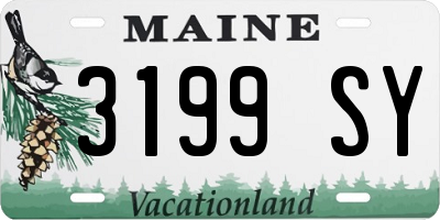 ME license plate 3199SY