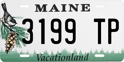ME license plate 3199TP
