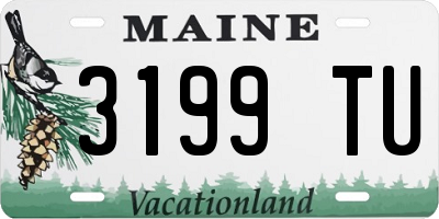 ME license plate 3199TU