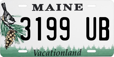 ME license plate 3199UB