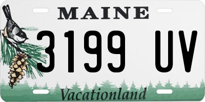 ME license plate 3199UV