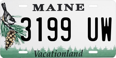 ME license plate 3199UW