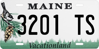 ME license plate 3201TS