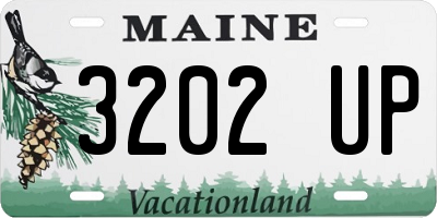 ME license plate 3202UP