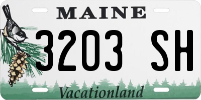 ME license plate 3203SH