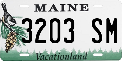 ME license plate 3203SM