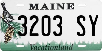 ME license plate 3203SY
