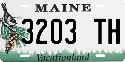 ME license plate 3203TH
