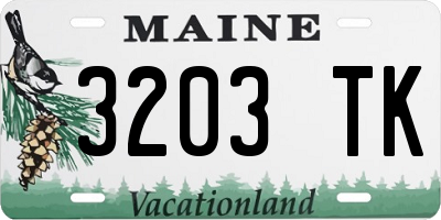 ME license plate 3203TK