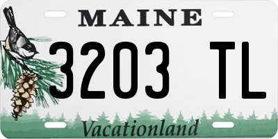 ME license plate 3203TL